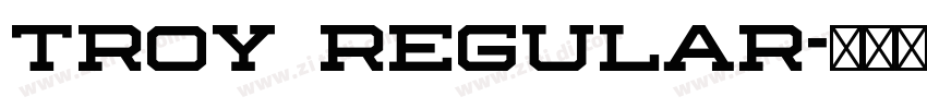 Troy Regular字体转换